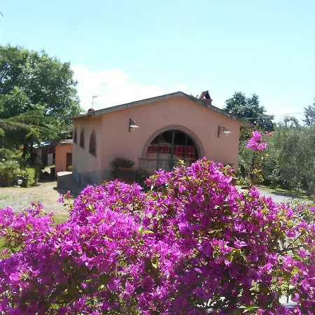 Il Loghino Feriegård Palaia