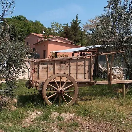 Feriegård Il Loghino